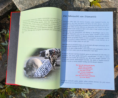 Diamantis Book