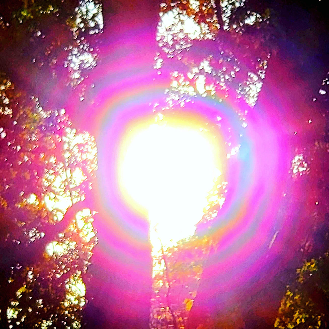 Digital Picture Art °6